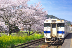 採銅所駅2022　春-3　桜にキハ40系と2番乗り場