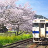 採銅所駅2022　春-3　桜にキハ40系と2番乗り場