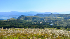 平尾台2020　10月-2　太平山　ススキと山並