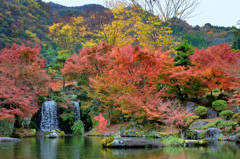 渓石園2018　11月-1　紅葉①