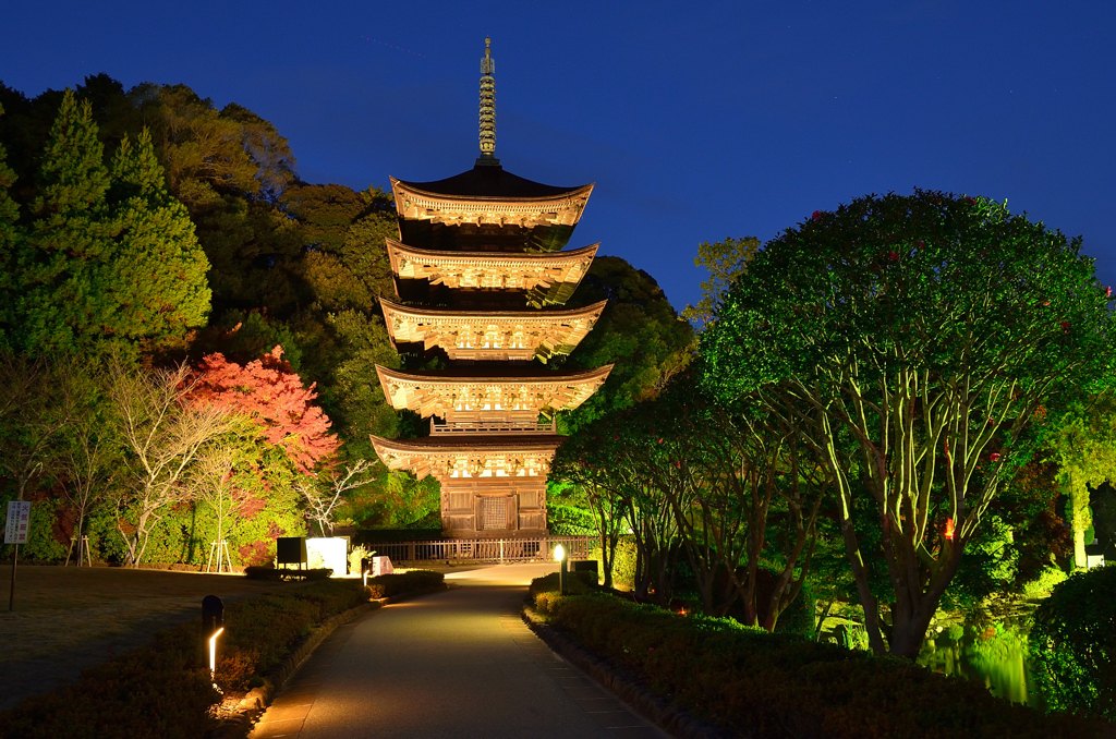 瑠璃光寺2020　11月　五重塔　ライトアップ①