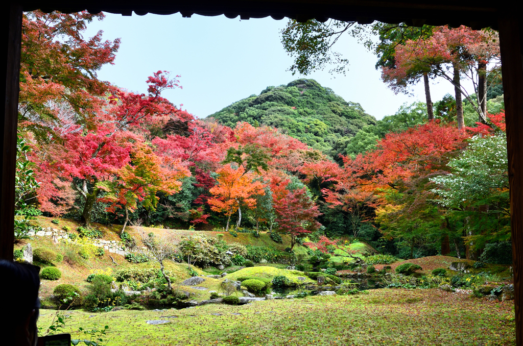 清水寺本坊庭園2022　秋　庭園