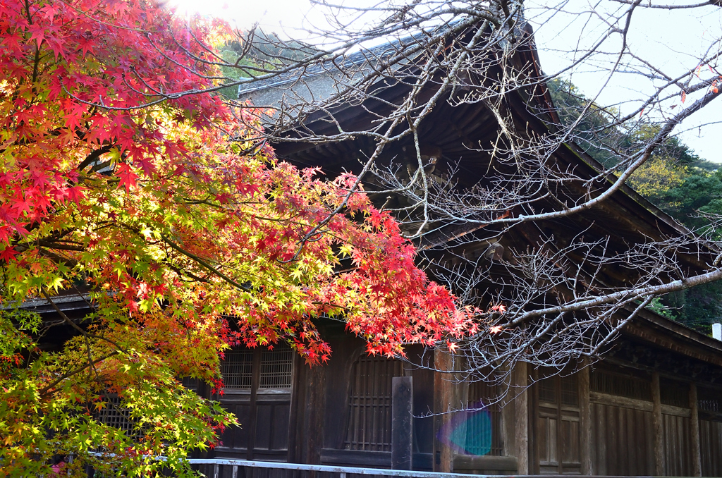 功山寺2022　11月-3　仏殿②