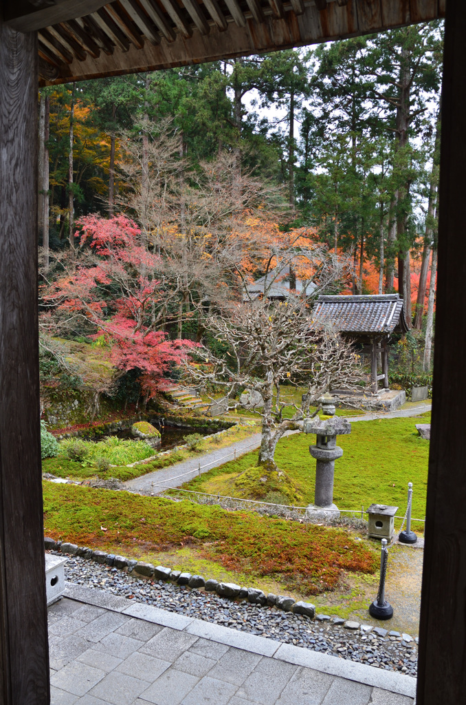 勝林院2018-2　本堂より鐘楼