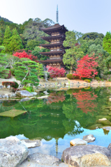 瑠璃光寺2020　秋-01　五重塔②