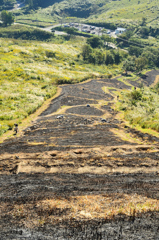 平尾台2020　10月　大平山　防火帯