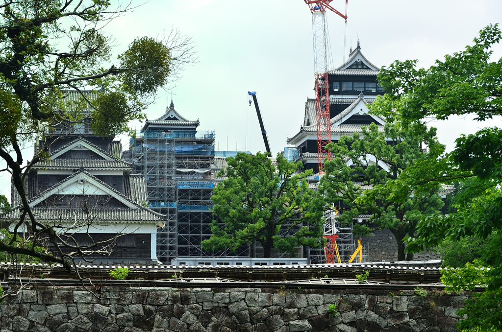 熊本城2020　7月-1　二の丸広場ビュースポット