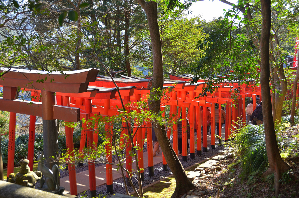 玉園稲荷神社2020　1月　本殿より鳥居