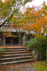 呑山観音寺2019-2　七福神堂