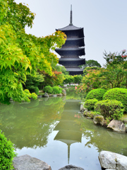 東寺2022　7月-2　五重塔