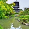 東寺2022　7月-2　五重塔