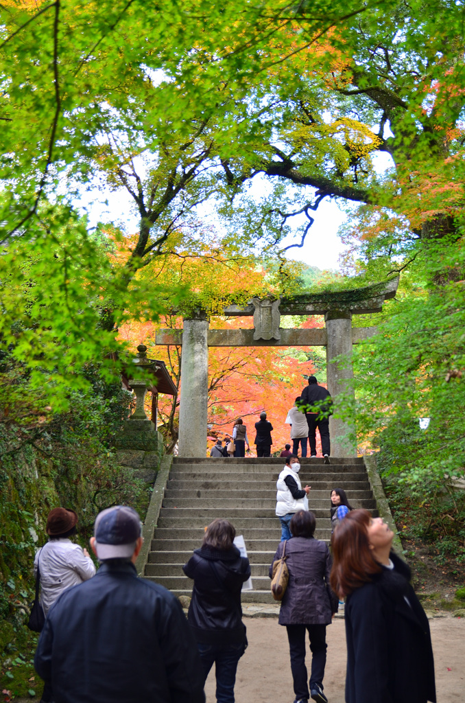 仁比山神社2019-1　鳥居