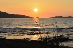 洞山2025　10月-01　ススキと夕陽