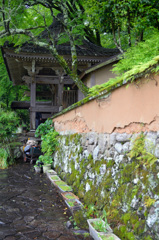 富貴寺2019　4月　山門＆土塀