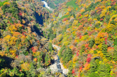 九重夢大吊橋2020　秋-4　渓谷　