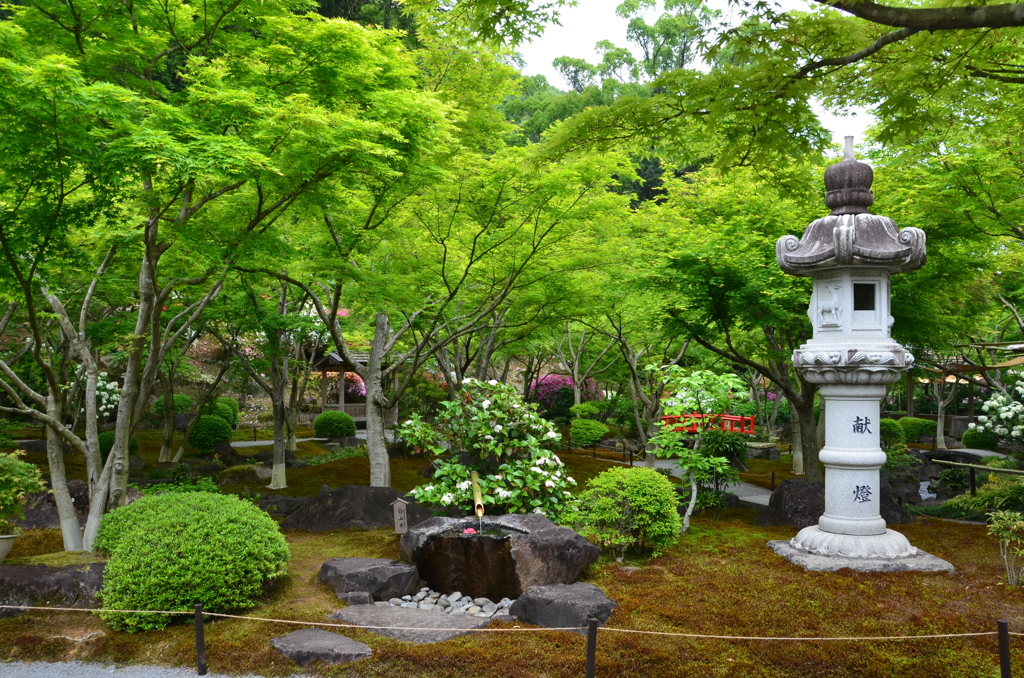 祐徳稲荷神社2018-2　日本庭園②
