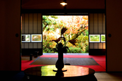 武家屋敷久野邸2024　初冬-02　客間