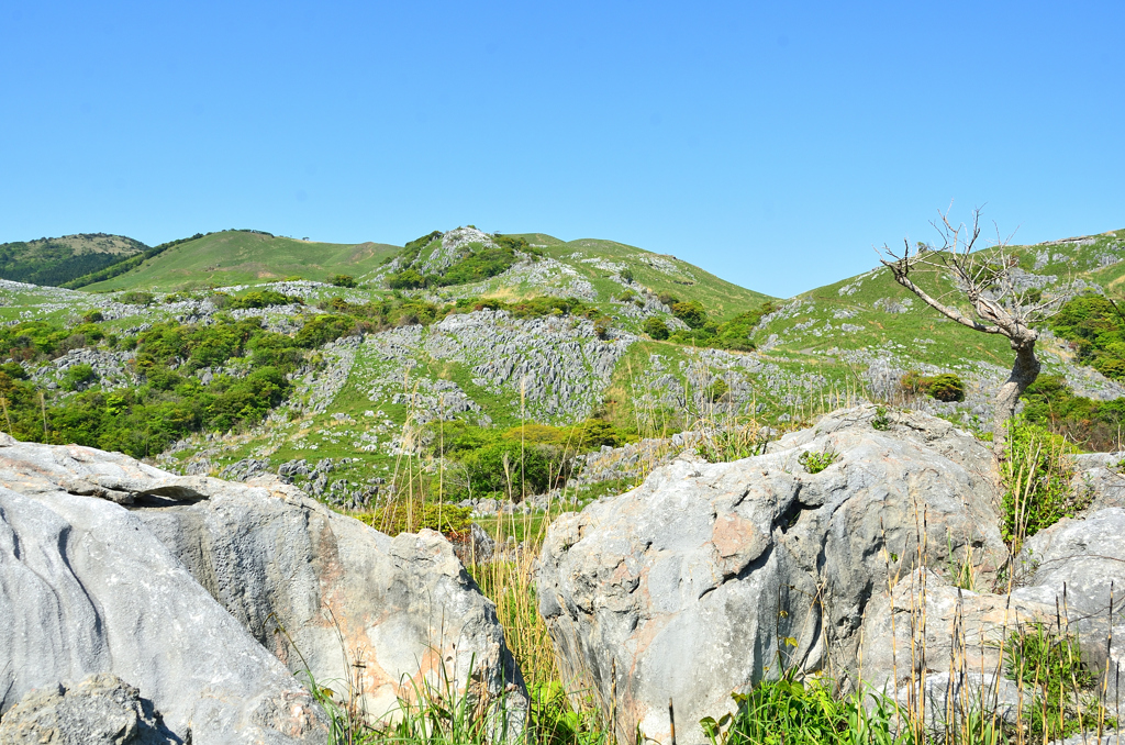 平尾台2022　5月-1　茶ケ床園地　ピナクル②