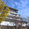 小倉城2022　晩秋-01　天守閣
