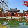 平等院2018　秋　鳳凰堂⑤