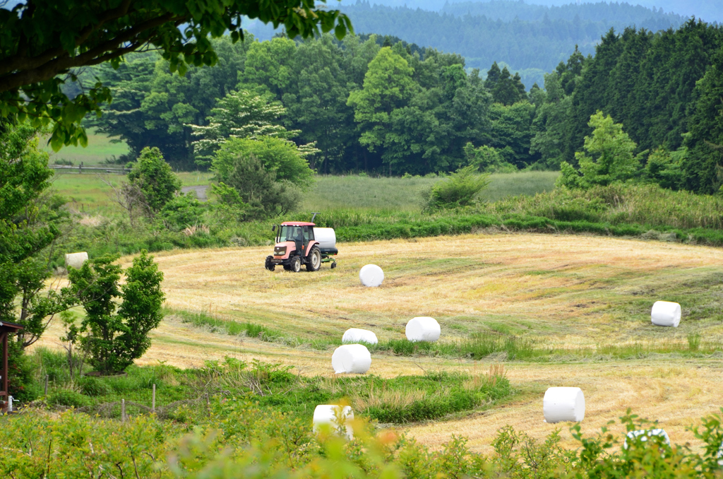 くじゅう花公園2022　5月-2　高原の丘より　牧草ロール①