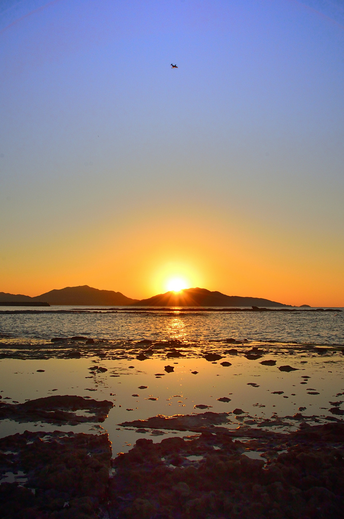 狩尾岬2020　12月-4　夕陽とT-4