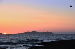 洞山2022　10月-01　地島の夕景にアオサギ