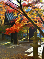 秋月2021　晩秋-06　黒門と石灯篭