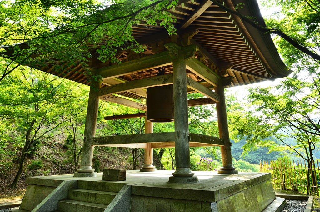 呑山観音寺2021　6月-4　鐘楼と青もみじ