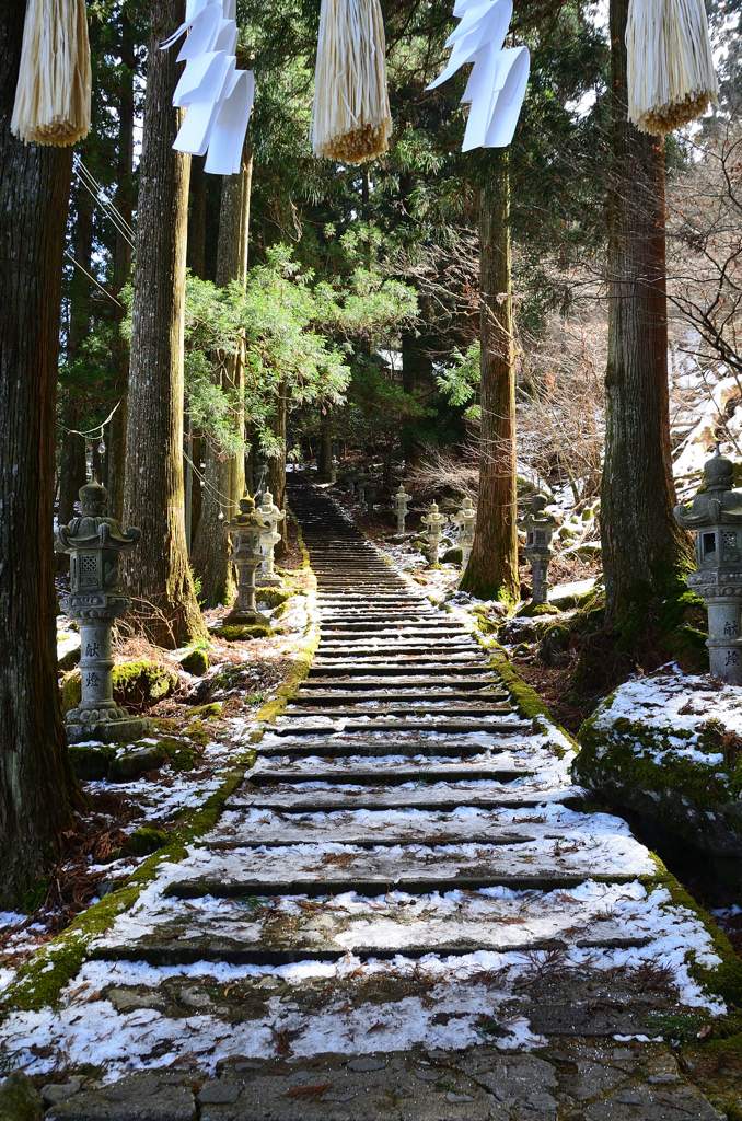 高住神社2022　2月-1　参道