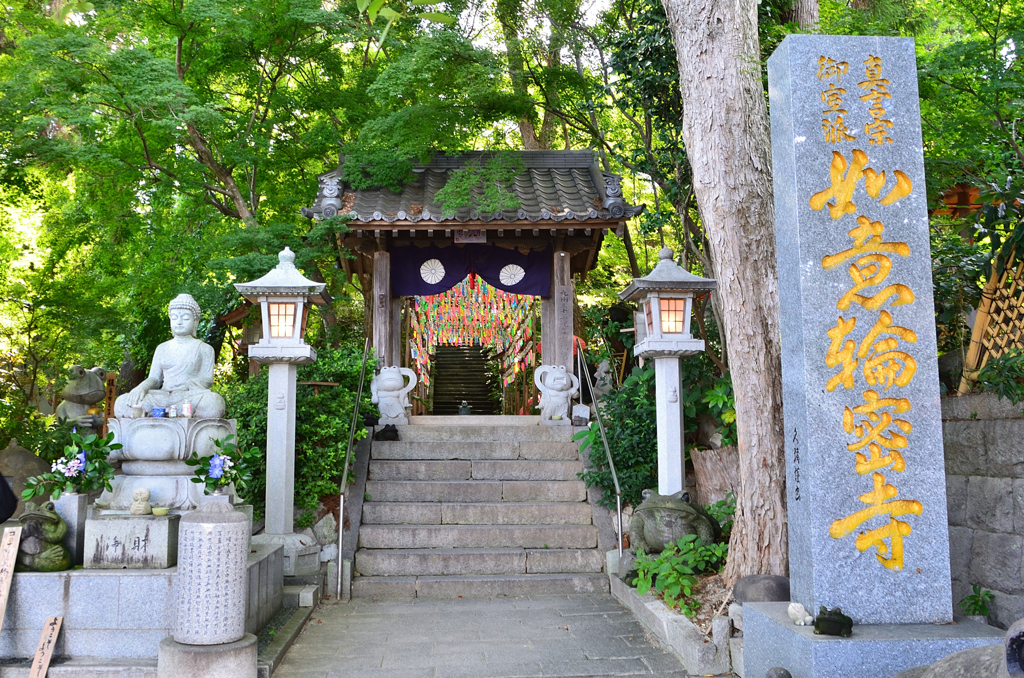 如意輪寺2022　8月-1　山門　