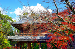 功山寺2022　11月-1　山門②