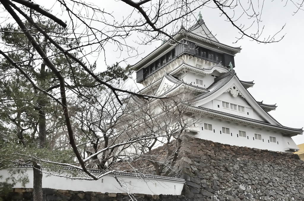 小倉城2023　1月-2　雪化粧①
