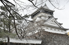 小倉城2023　1月-2　雪化粧①