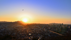 K市2020　2月-3　夕陽と鳥と都市