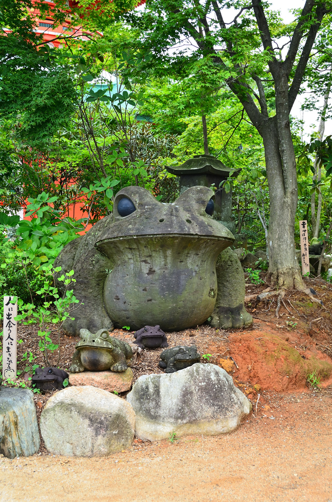 如意輪寺2020　7月-5　蛙　世の中かえる