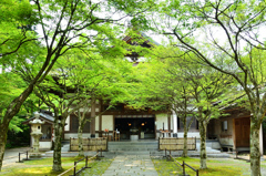 呑山観音寺2021　6月-2　天王院　本堂