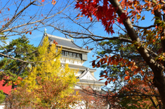 小倉城2022　秋-02　紅葉と天守閣