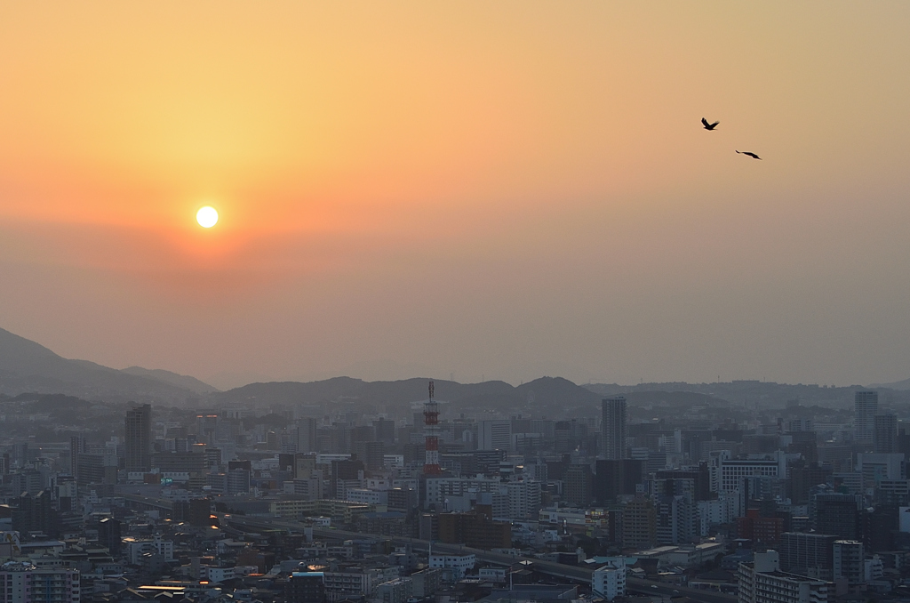 K市2022　3月　黄砂に夕陽とカラス