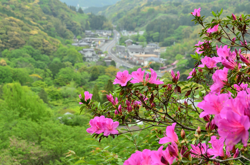 御船山楽園2019-2　4月　眺望