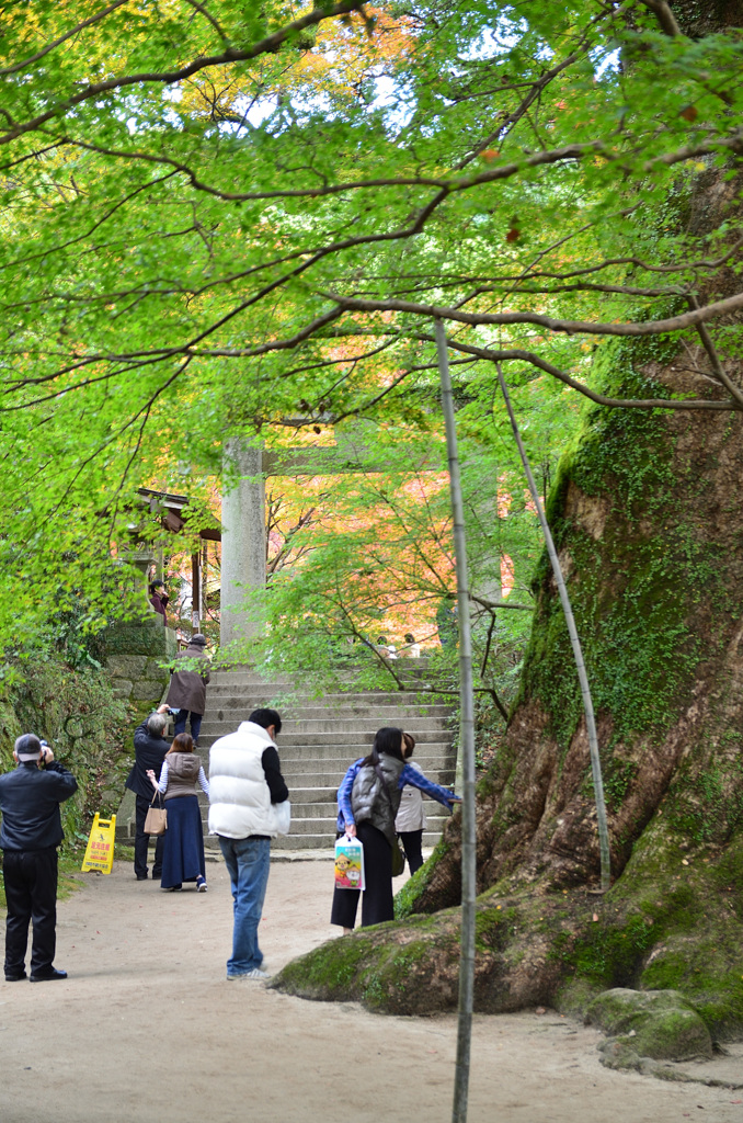 仁比山神社2019　参道①