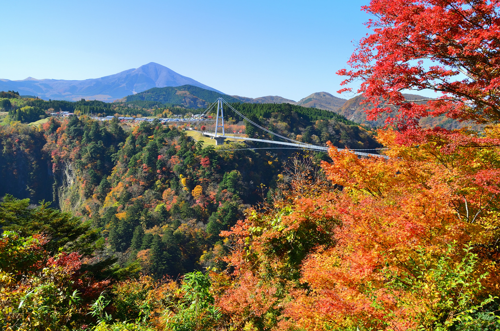 九重夢大吊橋2020　11月-1　紅葉と大吊橋