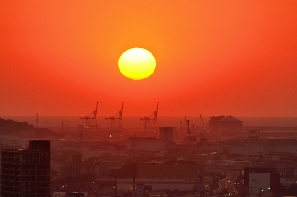 Ｋ市2022　5月-3　夕陽とキリン
