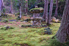 三千院2018-4　有清園　わらべ地蔵＆石灯籠