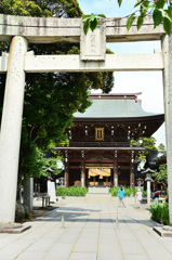 宮地嶽神社2020　6月　鳥居から拝殿