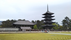 興福寺国宝館と五重の塔