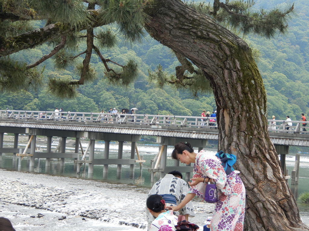 渡月橋1