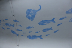 水族館