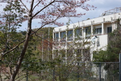 和歌山廃校...桃山町立桃山小学校