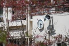 和歌山廃校...桃山町立桃山小学校